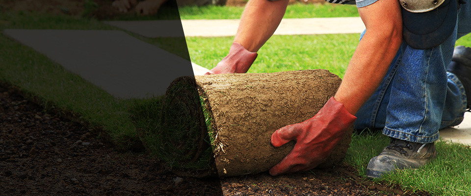 Belle Vernon Landscapers